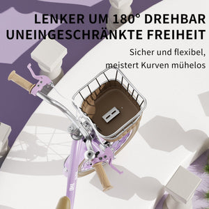 Habib Gruppe Mädchenfahrrad Klassik | Inkl. Luftpumpe & 6 - teiligem Schutz - Set | Karbonstahlrahmen & Duales Bremssystem | Mitwachsend & sicher für Mädchen 3 - 8 Jahre - Europebazar